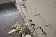 IMG_5576