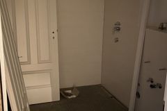IMG_5582