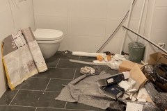 IMG_5621