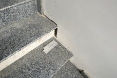 IMG_5645