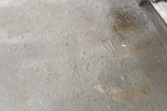 IMG_5705